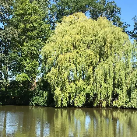 De L étang Du Moulin Du Pre *