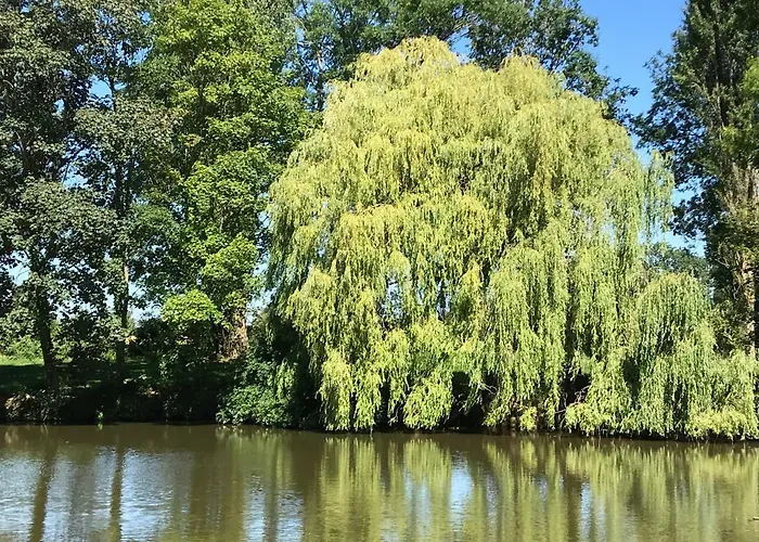 De L Etang Du Moulin Du Pre *